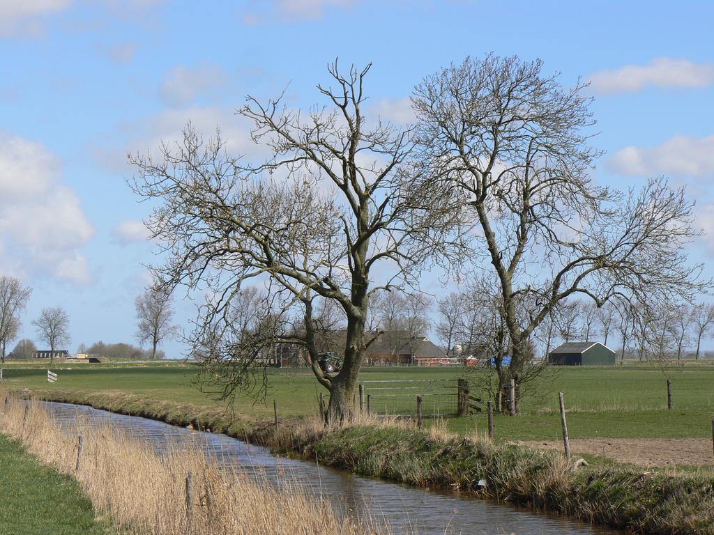 Groningen Buiten B&B Zuidhorn Bagian luar foto