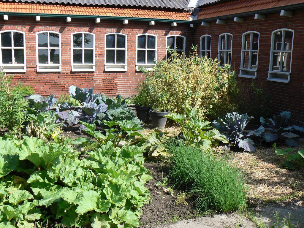 Groningen Buiten B&B Zuidhorn Bagian luar foto