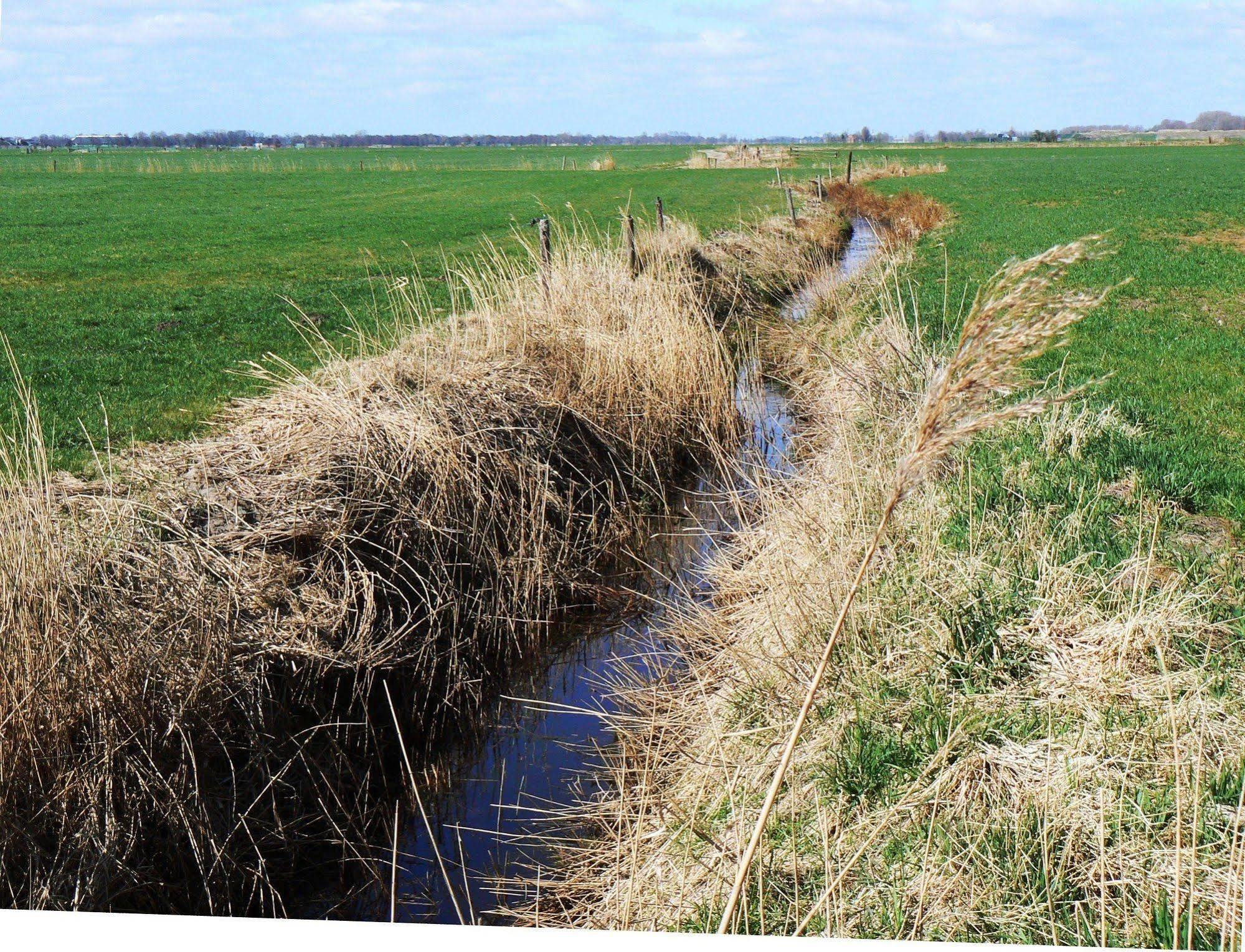 Groningen Buiten B&B Zuidhorn Bagian luar foto