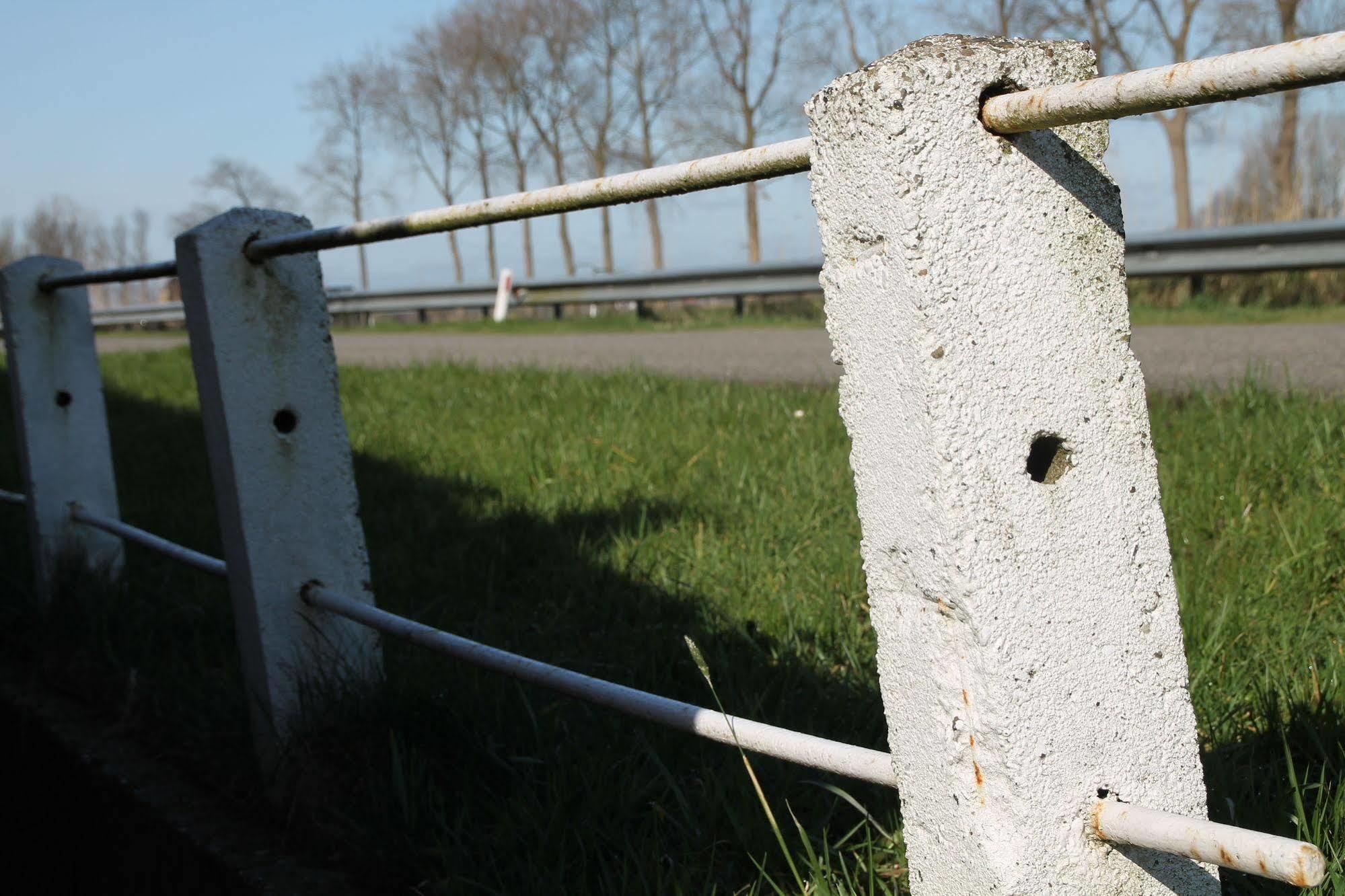 Groningen Buiten B&B Zuidhorn Bagian luar foto