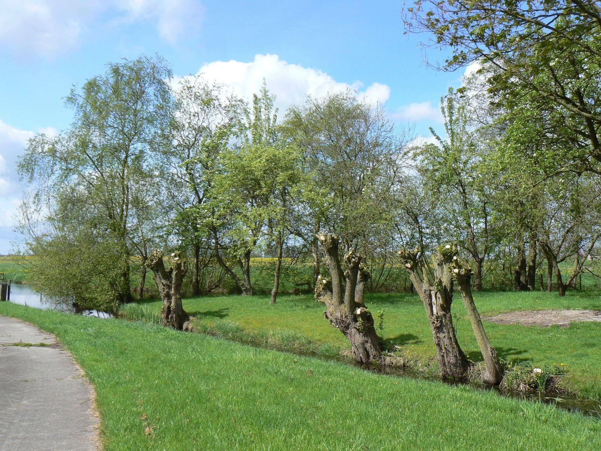Groningen Buiten B&B Zuidhorn Bagian luar foto